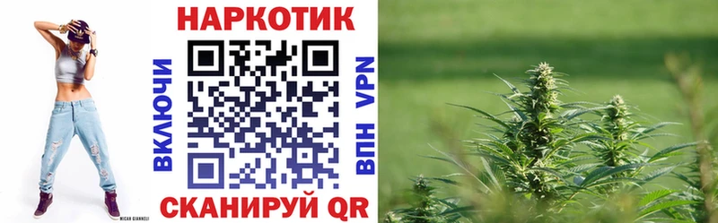 Галлюциногенные грибы Серов