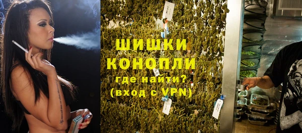 гашик Арсеньев