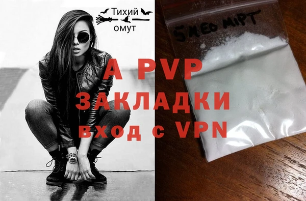 гашик Арсеньев