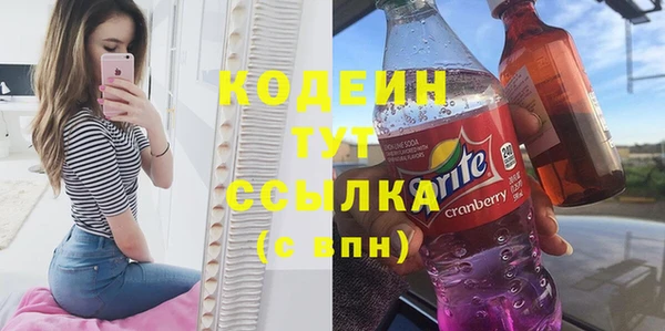 гашик Арсеньев