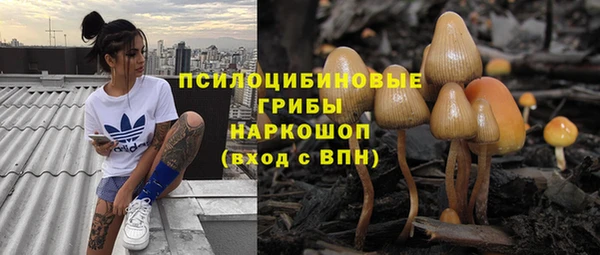 дживик Аркадак