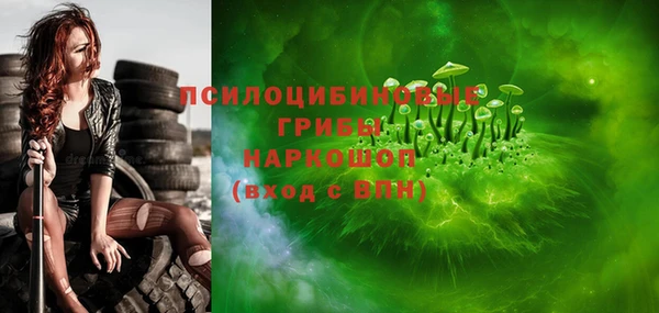 дживик Аркадак